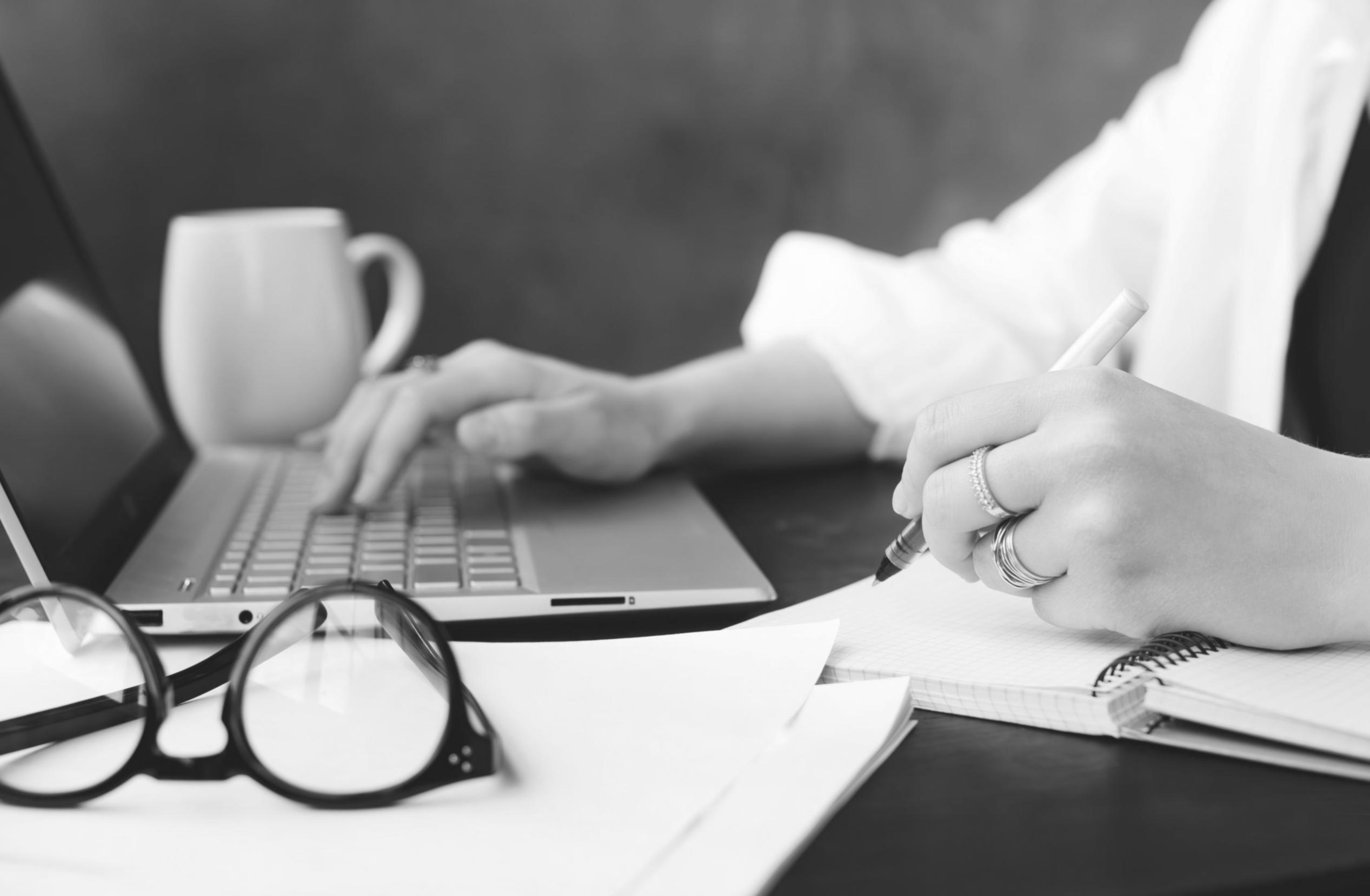 Live-Webinar-Session mit Teilnehmern